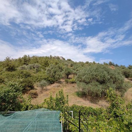 Elpida Apartment Thassos Exteriör bild