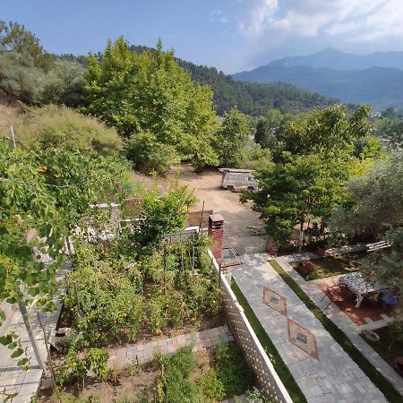 Elpida Apartment Thassos Exteriör bild