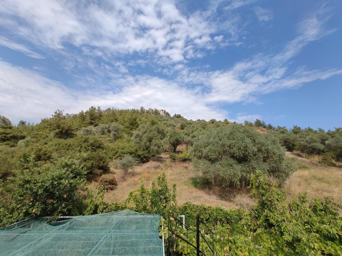 Elpida Apartment Thassos Exteriör bild