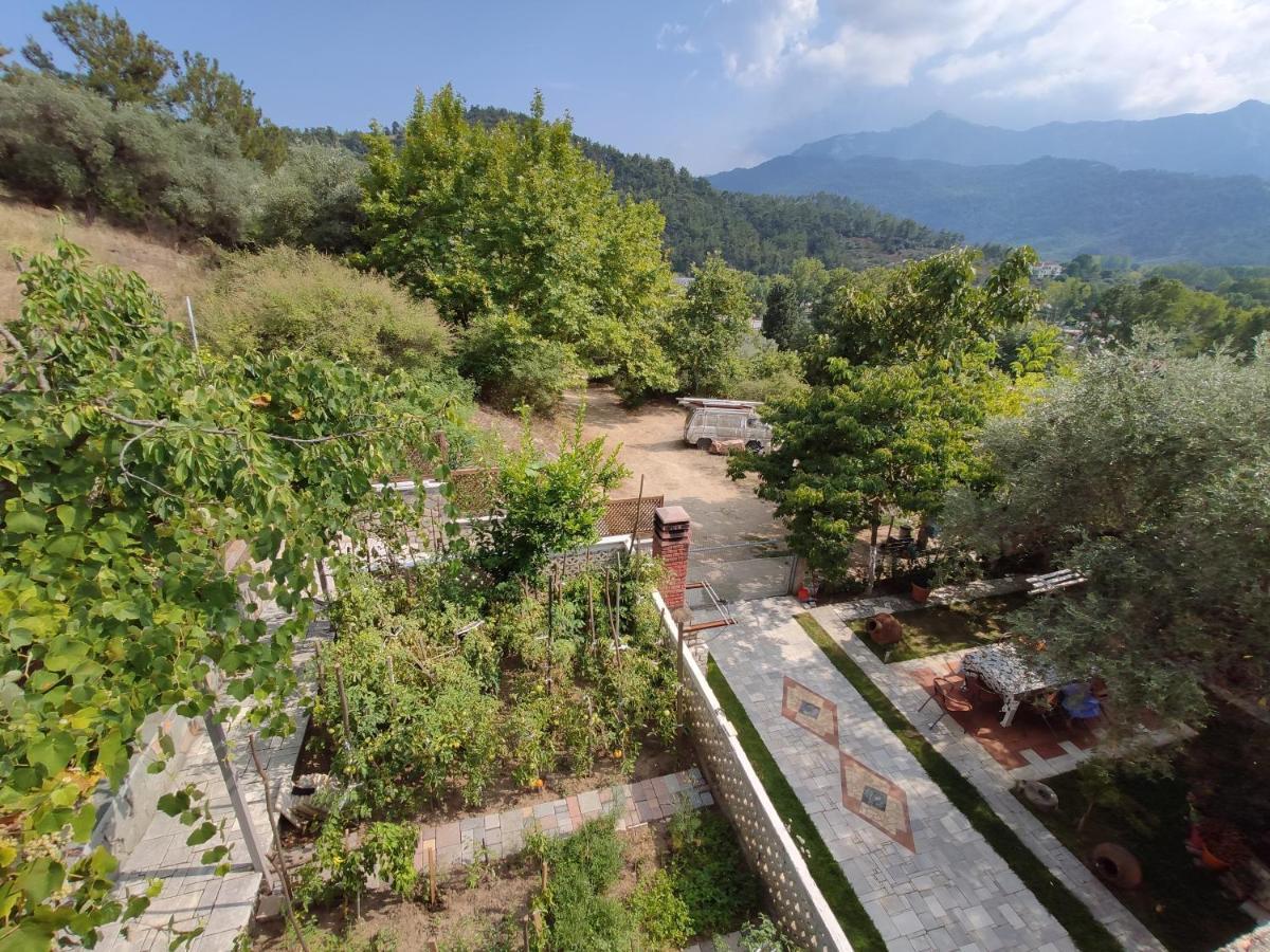 Elpida Apartment Thassos Exteriör bild
